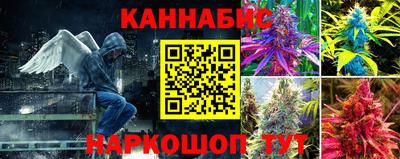 гашик Кунгур