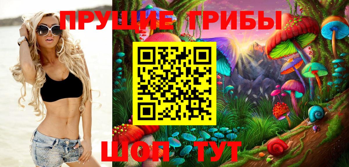 купить наркотик  Псилоцибиновые грибы Magic Shrooms  Черкесск  Вход с VPN  Псилоцибиновые грибы Magic Shrooms 